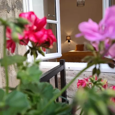 Le Jardin Secret Conciergeriedamecarcas